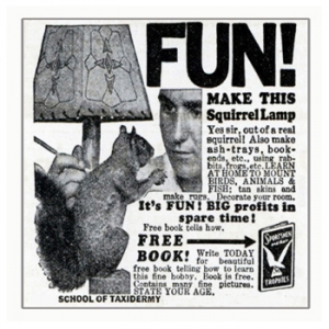 Squirrel Lamp